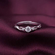 Twist Elegance Silver Ring